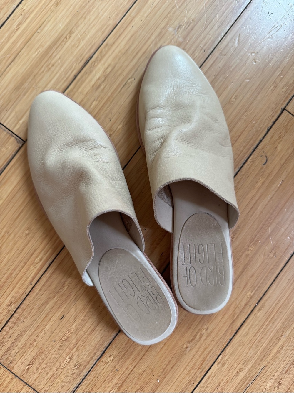 Bird of Flight size 7 Leather Slip-On Mules